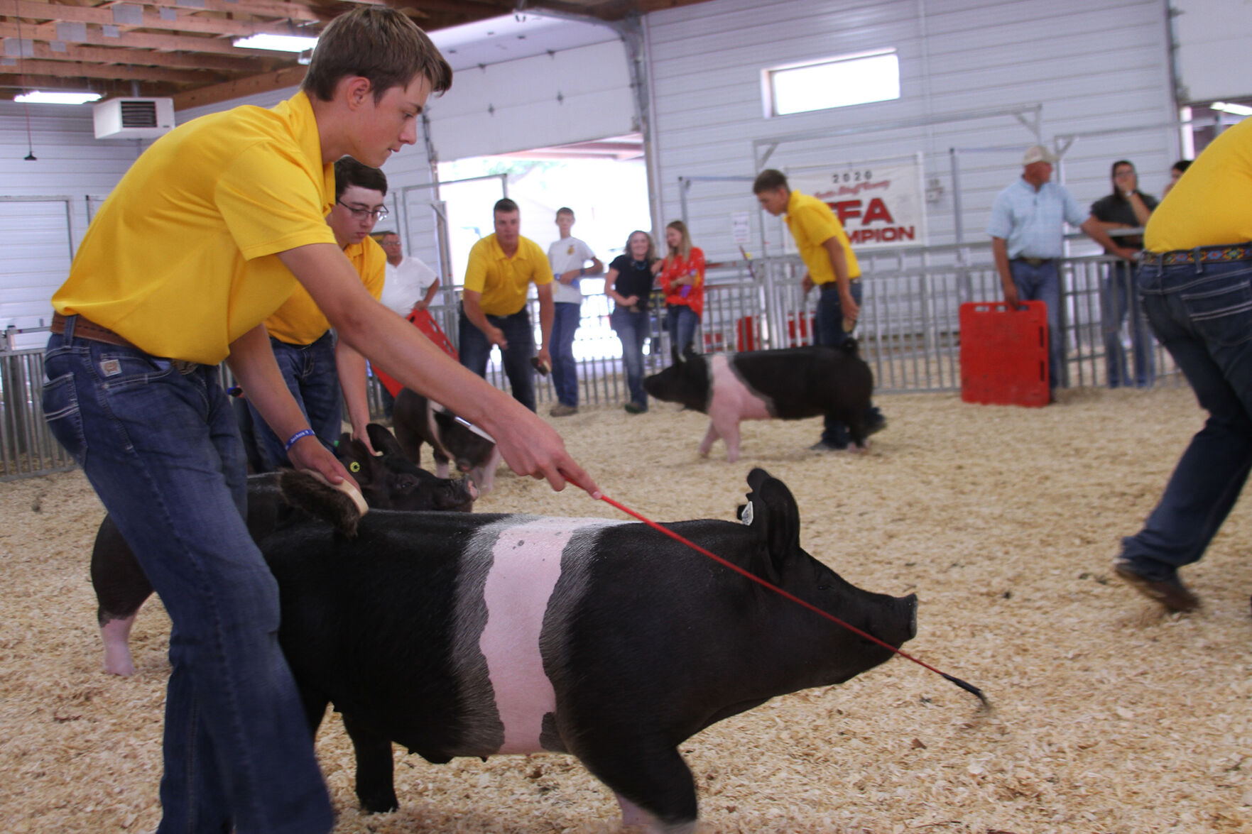PHOTOS: Scenes from the Scotts Bluff County Fair